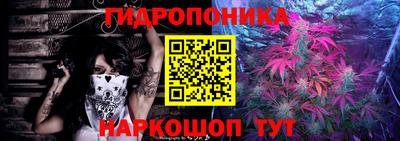 трава Новодвинск