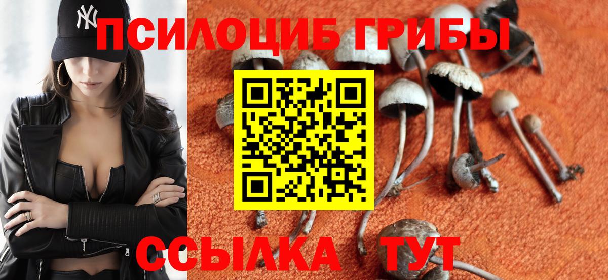 Псилоцибиновые грибы MAGIC MUSHROOMS  Вход с VPN  Тавда 