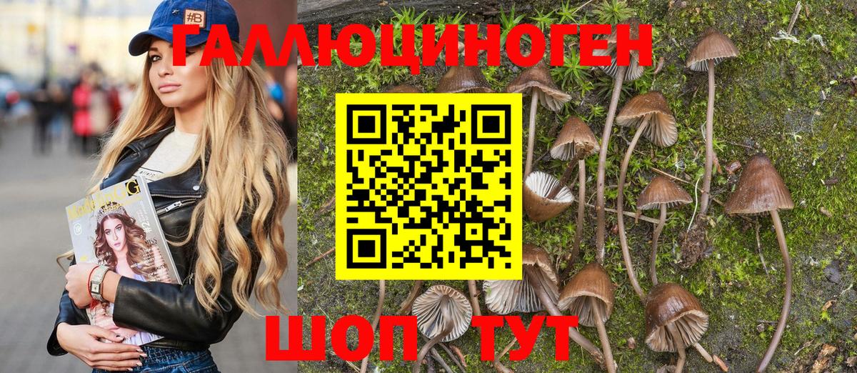 Псилоцибиновые грибы Magic Shrooms Тавда